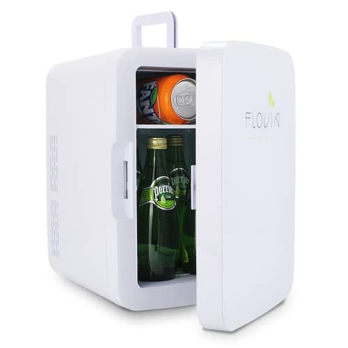 Mini réfrigérateur silencieux pour voiture bureau chambre (10 Litres, Blanc)