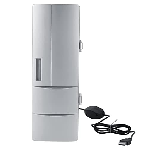 Raguso Mini Réfrigérateur Portable pour la Maison - Capacité de 6 litres - Idéal pour Voyage et Camping