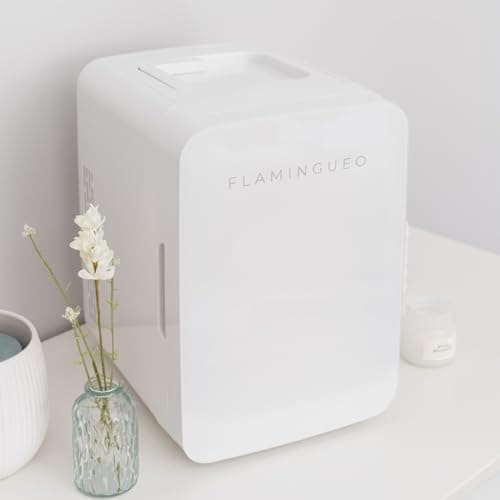 Flamingueo Mini Frigo 10L - Mini Frigo de Chambre, 12V/220V, Fonction Chaud et Froid