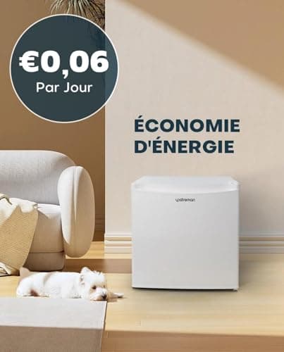 Upstreman 46L Mini Frigo Congélateur Blanc pour Chambre et Bureau Économie D'Énergie Silencieux Thermostat Réglable