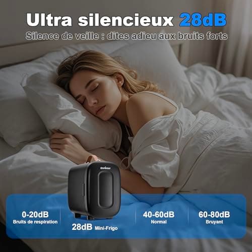 Enventor Mini Frigo pour voiture et chambre, 4 litres, alimentation CA + 12V CC, noir