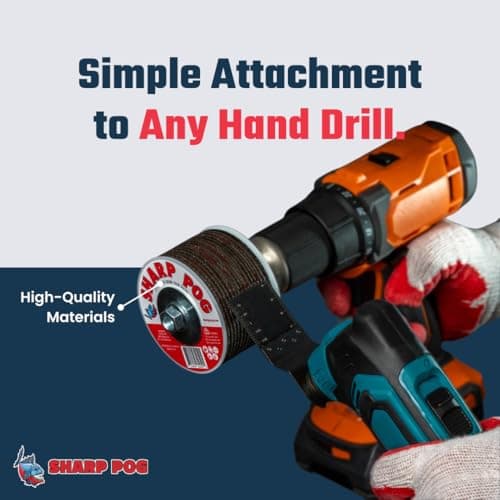 Affûteur de lame de scie oscillante en acier à haute teneur en carbone pour Multi-Tool - Durabilité et précision garanti
