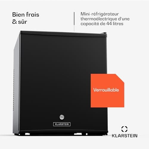 KLARSTEIN Mini Réfrigérateur 44L, Silencieux & Petit, pour Boissons & Snacks, Serrure & Clayettes Réglables