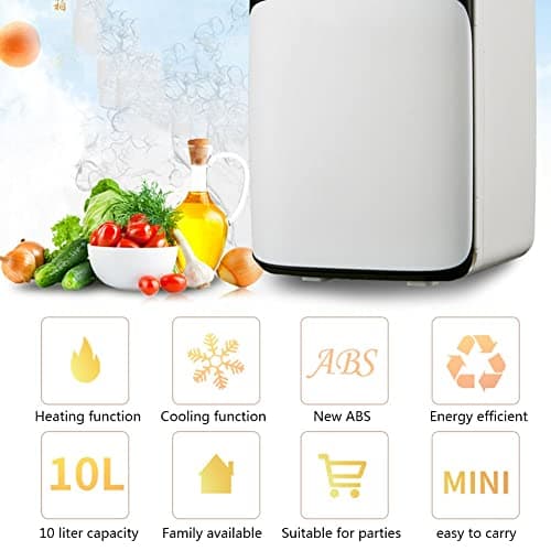 Réfrigérateur Portable 10L pour Bureau et Voiture AC/DC (Co)