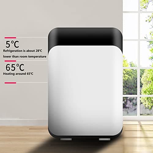 Mini Réfrigérateur Portable Chauffe-aliments Et Refroidisseur De Boissons Congélateur De Boîte De Voyage AC + DC Pour Ca