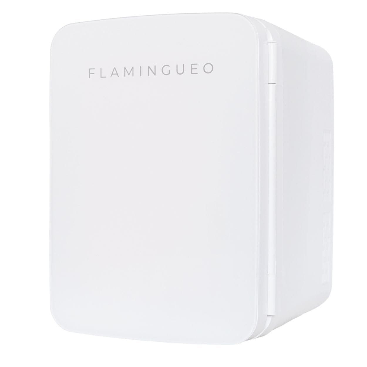 Flamingueo Mini Frigo 10L - Mini Frigo de Chambre, 12V/220V, Fonction Chaud et Froid