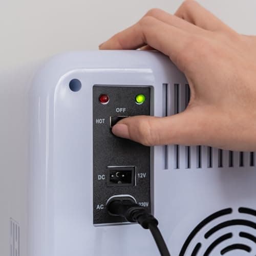 Flamingueo Mini Frigo 10L - Refrigérant de Salle pour Cosmétique et Soins de Peau, Fonction Chaud et Froid, 12V/220V