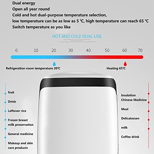 Mini Réfrigérateur Portable Chauffe-aliments Et Refroidisseur De Boissons Congélateur De Boîte De Voyage AC + DC Pour Ca