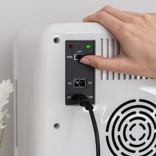 Flamingueo Mini Frigo 10L - Mini Frigo de Chambre, 12V/220V, Fonction Chaud et Froid