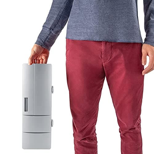Raguso Mini Réfrigérateur Portable pour la Maison - Capacité de 6 litres - Idéal pour Voyage et Camping