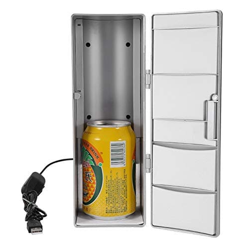Raguso Mini Réfrigérateur Pour Maison et Voiture, Petite Capacité Idéale pour Voyageurs et Familles, Évite les Pertes de