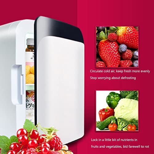 Mini Réfrigérateur Portable Chauffe-aliments Et Refroidisseur De Boissons Congélateur De Boîte De Voyage AC + DC Pour Ca