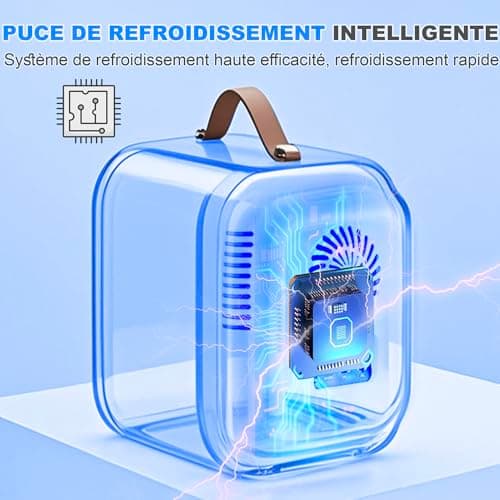 Enventor Mini Frigo pour voiture et chambre, 4 litres, alimentation CA + 12V CC, noir
