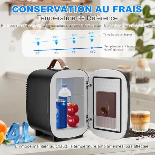 Enventor Mini Frigo pour voiture et chambre, 4 litres, alimentation CA + 12V CC, noir