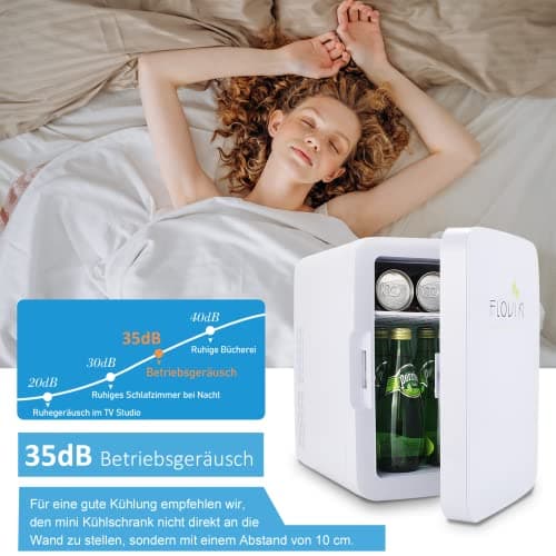 Mini réfrigérateur silencieux pour voiture bureau chambre (10 Litres, Blanc)