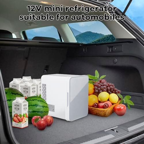 petit frigo porte vitrée 4L avec fonction multisurchauffage pour voyage, silencieux et pratique, allume-cigare et prise