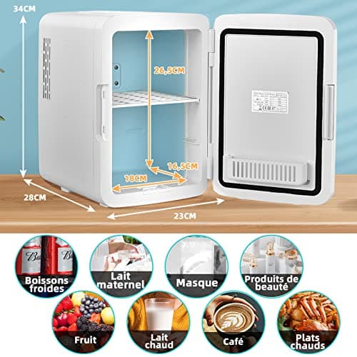 RELAX4LIFE Mini Réfrigérateur Voiture 12V 220V Chaud et Froid pour Cosmétiques et Aliments