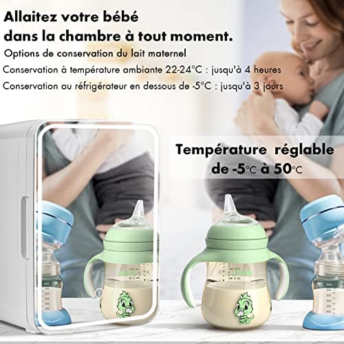 RELAX4LIFE Mini Réfrigérateur Voiture 12V 220V Chaud et Froid pour Cosmétiques et Aliments